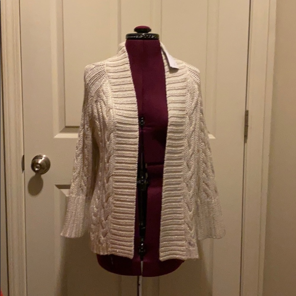Chico’s Sweater